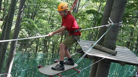 Climbing Forest Events Experience Children Leisure